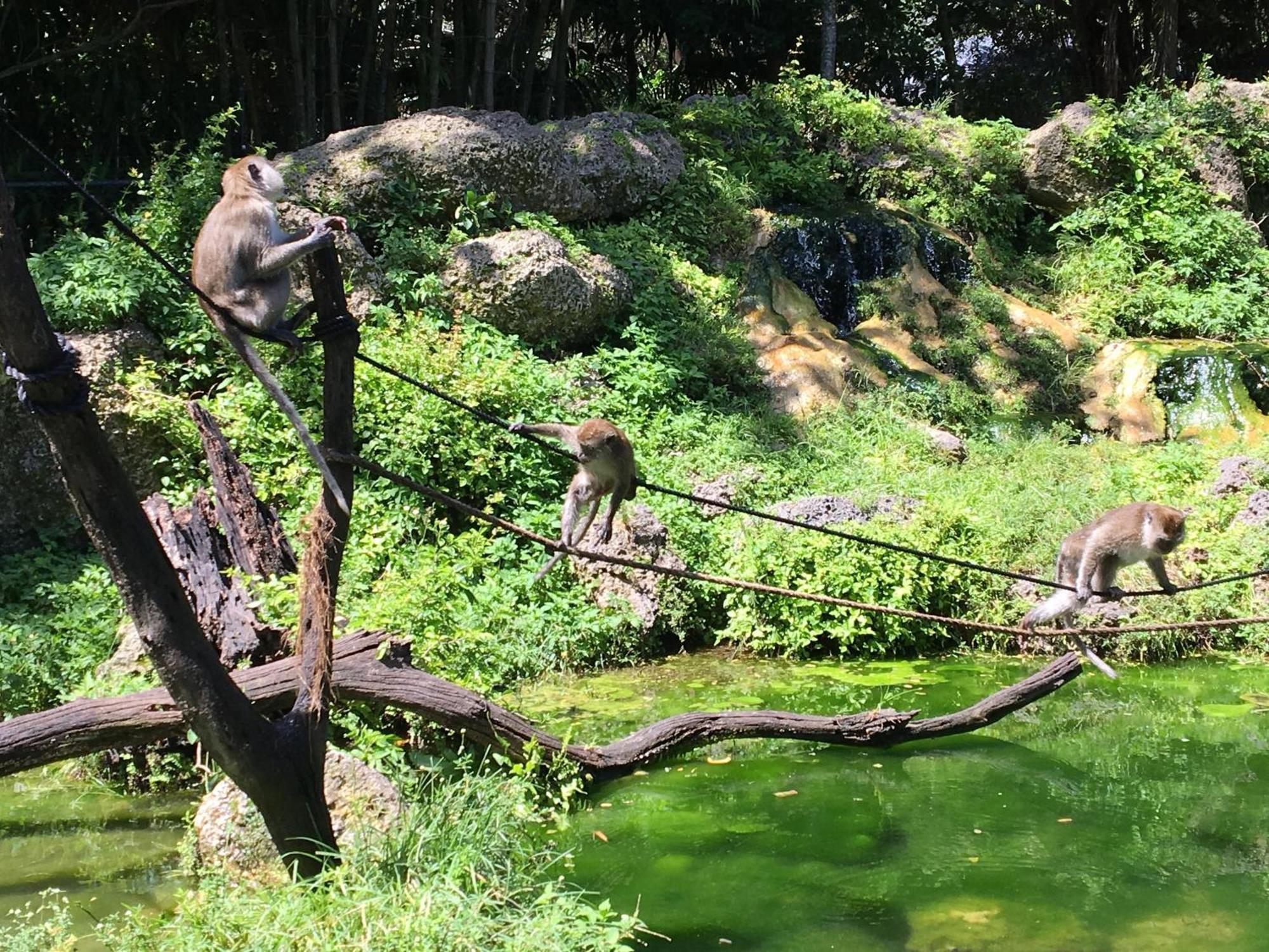 마이애미 Magical Wonderkoi House In A Japanese Koi Garden 빌라 외부 사진